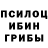 Галлюциногенные грибы MAGIC MUSHROOMS aleksandr21071975