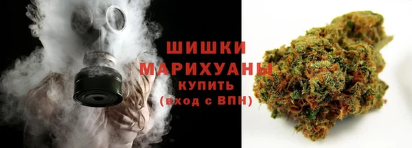 дживик Снежногорск