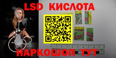 стаф Заводоуковск