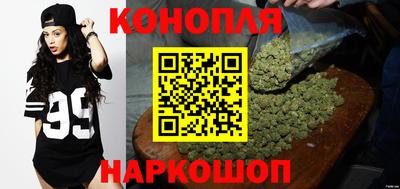 Альфа ПВП Заволжье
