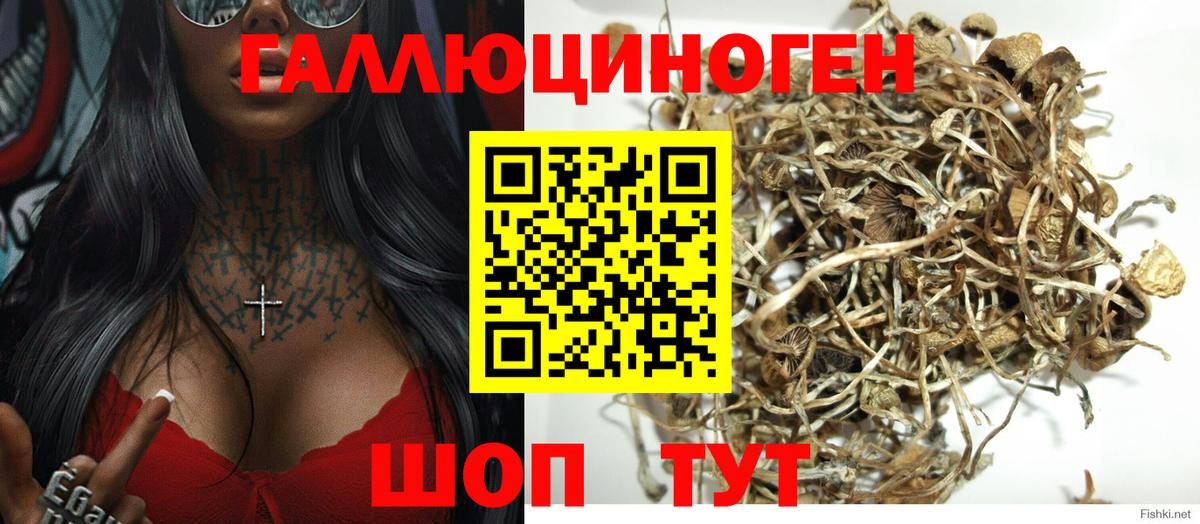 Галлюциногенные грибы MAGIC MUSHROOMS Печора