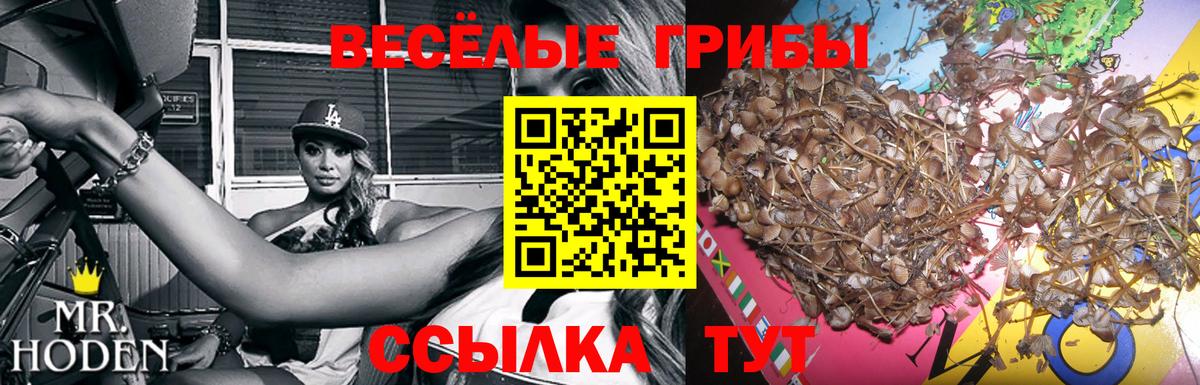 Галлюциногенные грибы мицелий  Печора 